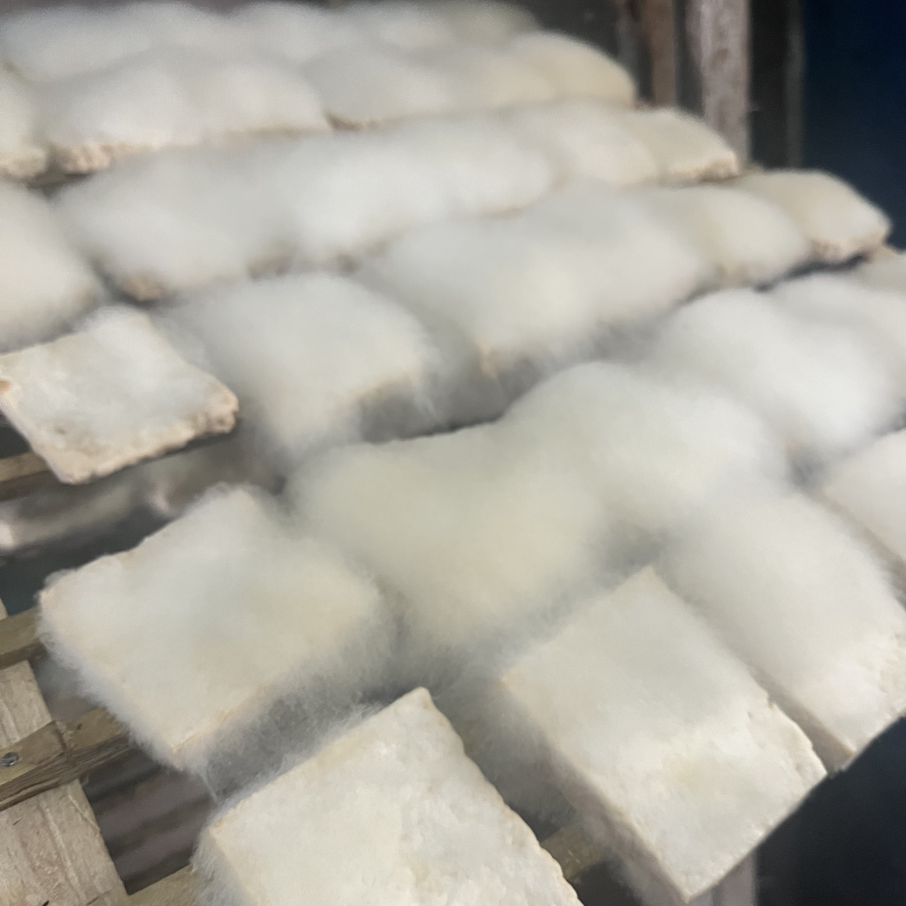 【包邮】中洲毛豆腐3份/每一份10片详情1