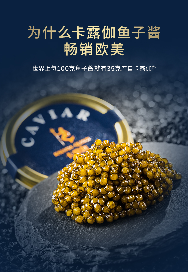 【卡露伽】4种年份礼盒10g*4罐鱼子酱高端caviar送礼详情5