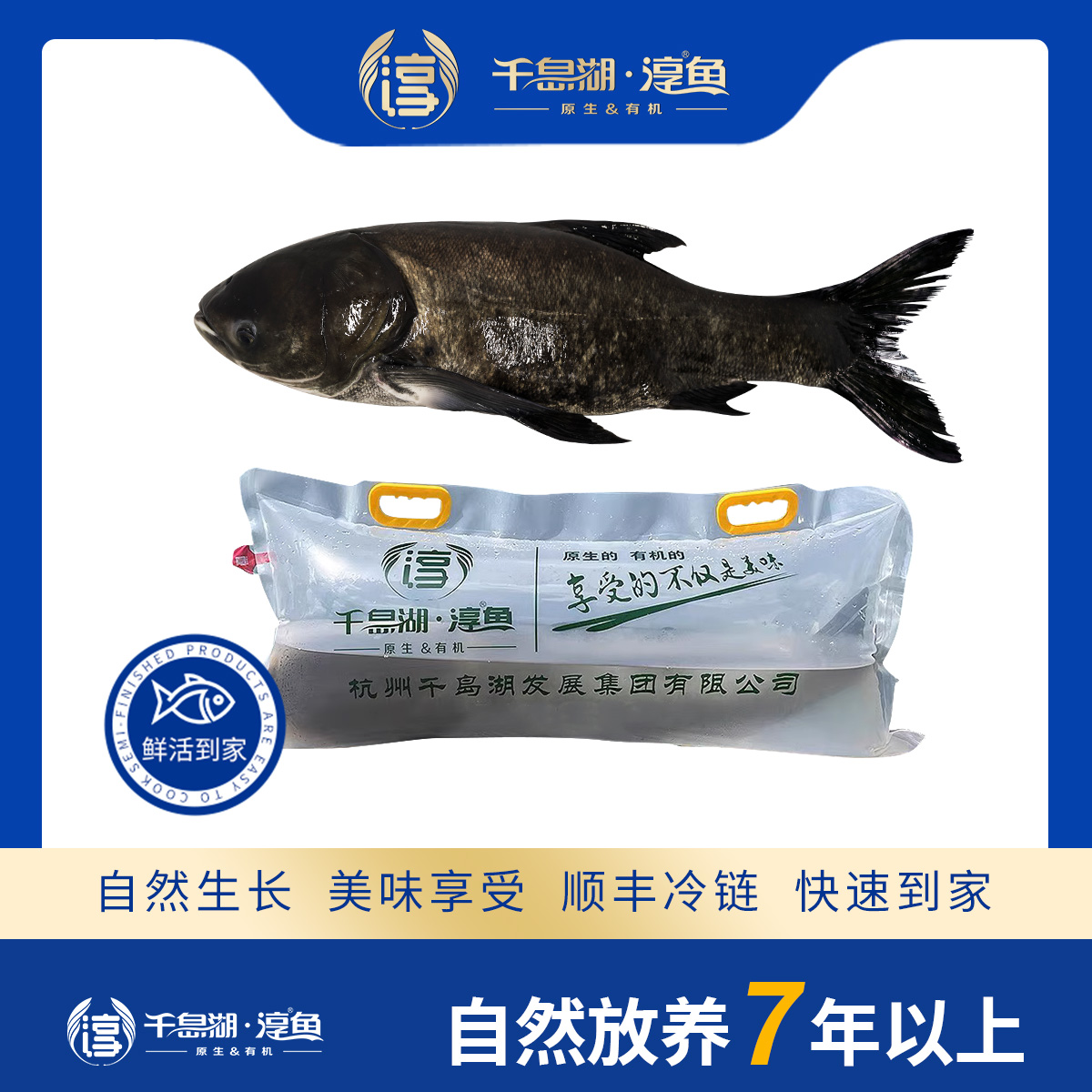 【淳牌】千岛湖原生态有机鱼 胖头鱼放养7年 江浙沪包邮