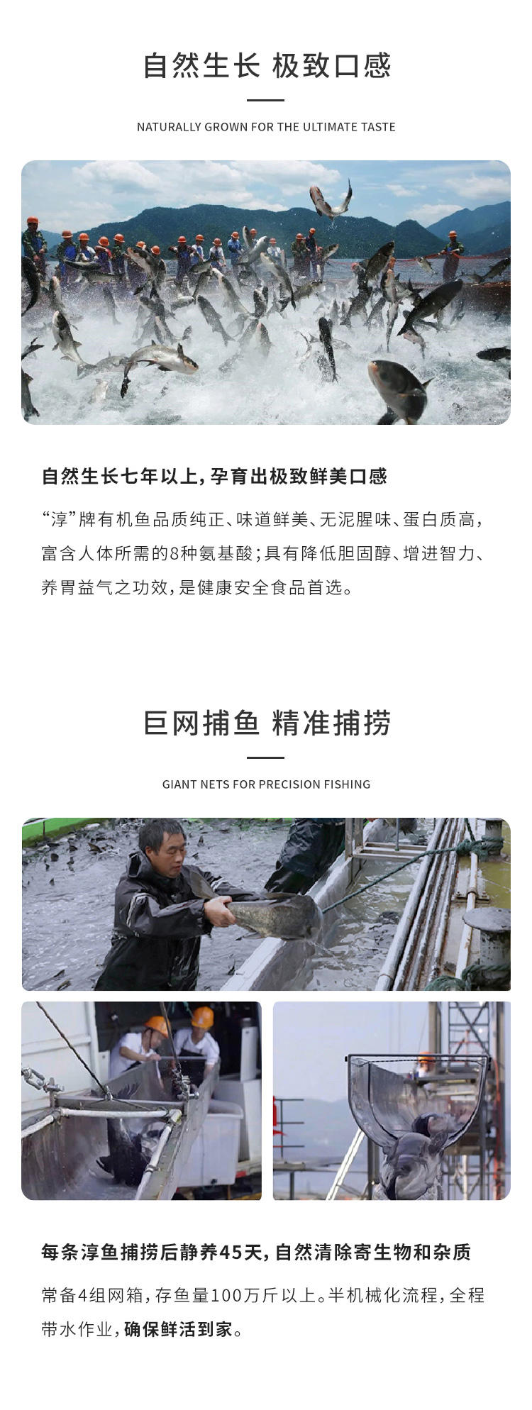 【淳牌】千岛湖原生态有机鱼 微晶速冻 酸菜鱼片 半成品 300g/袋详情2