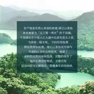 【瑶记】千岛湖有机山茶油食用油物理冷榨纯茶油官方正品500ml*2礼盒图片3