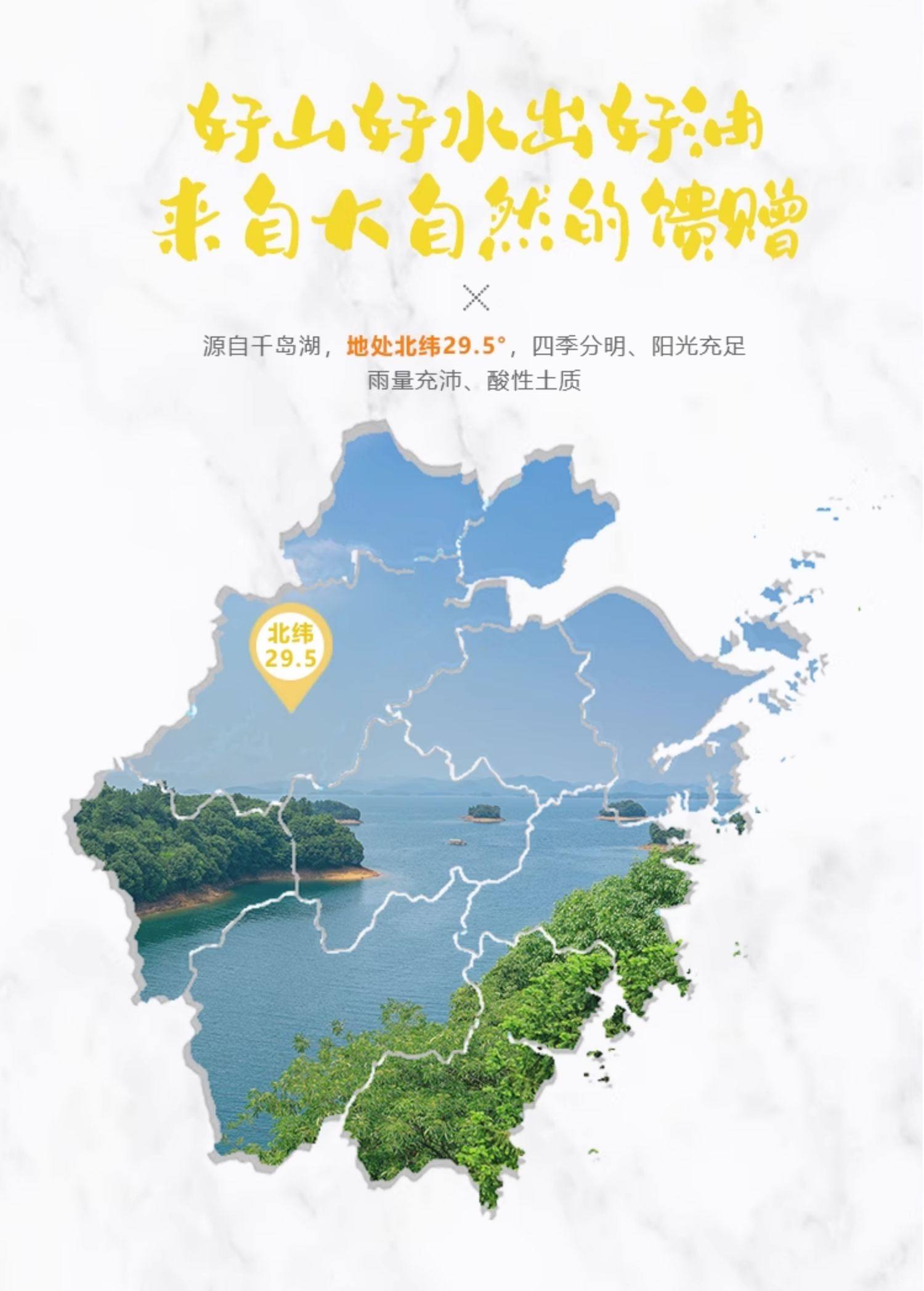 【瑶记】千岛湖有机山茶油食用油物理冷榨纯茶油官方正品500ml*2礼盒详情2