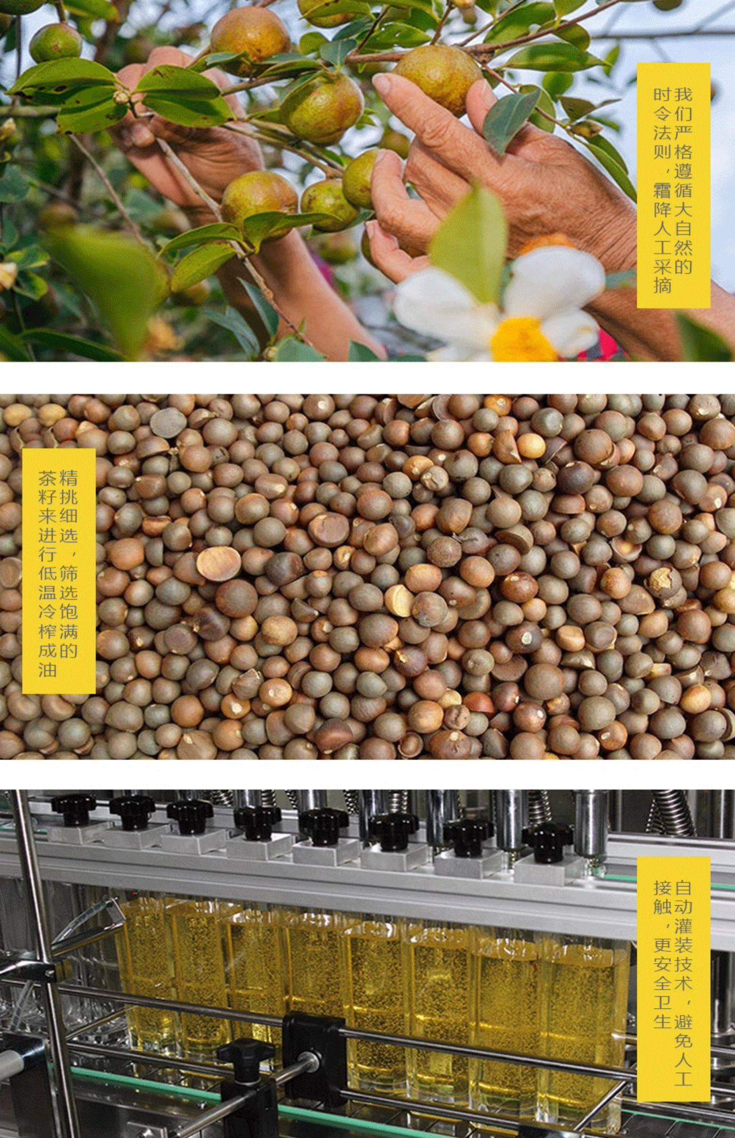 【瑶记】千岛湖有机山茶油食用油物理冷榨纯茶油官方正品500ml*2礼盒详情6