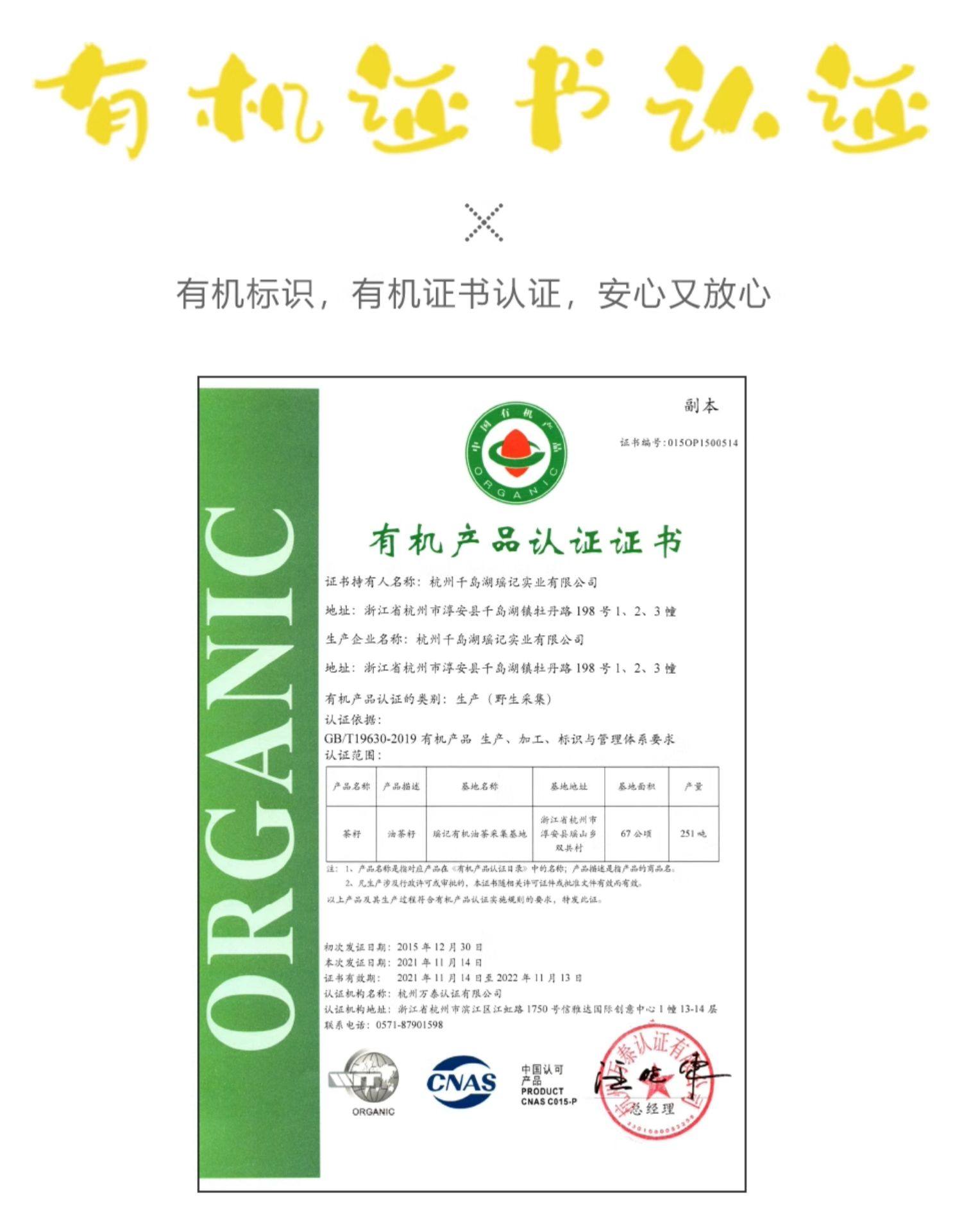 【瑶记】千岛湖有机山茶油食用油物理冷榨纯茶油官方正品500ml*2礼盒详情9