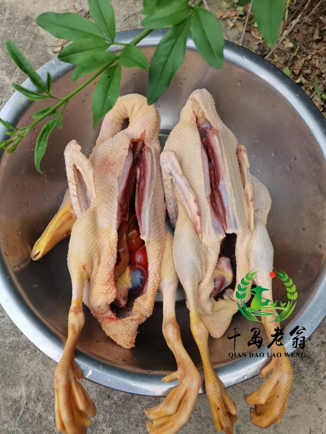 【村花小平农品】千岛湖散养溪水老鸭1.8斤到2斤之间现新鲜宰杀发货图片2