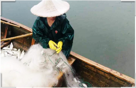 千岛湖野生溪水无盐无苦味小鱼干 180克/件详情12